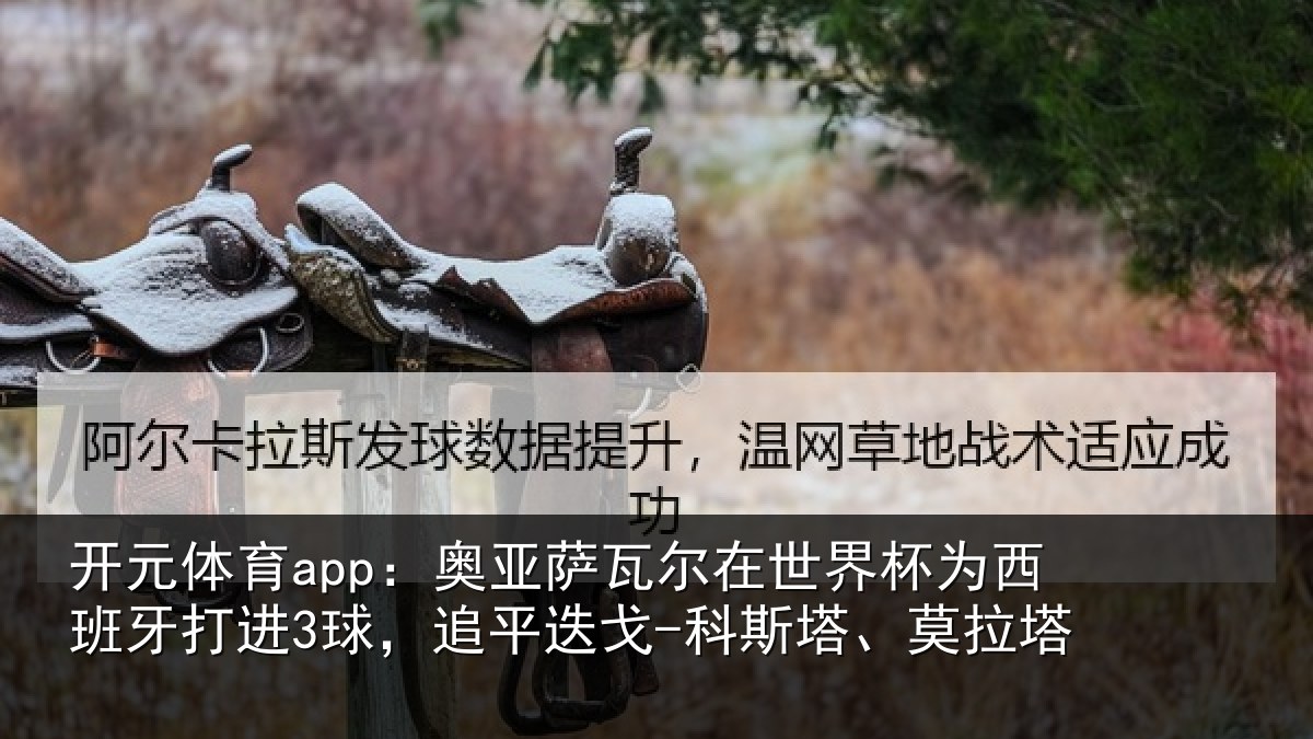 开元体育app：奥亚萨瓦尔在世界杯为西班牙打进3球，追平相关情况