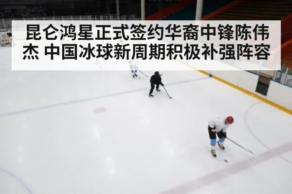 ice hockey game